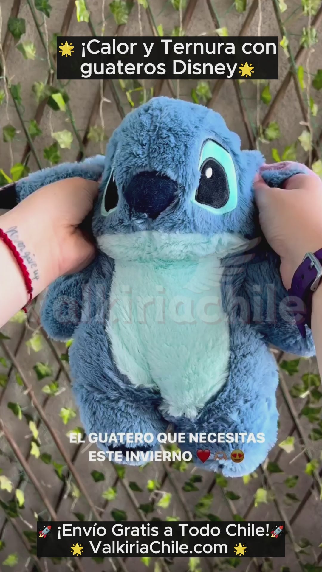 Guatero Disney Stitch, Angel y Lotso